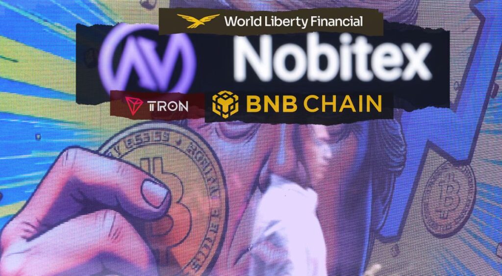Blockchain Networks