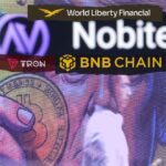 Blockchain Networks